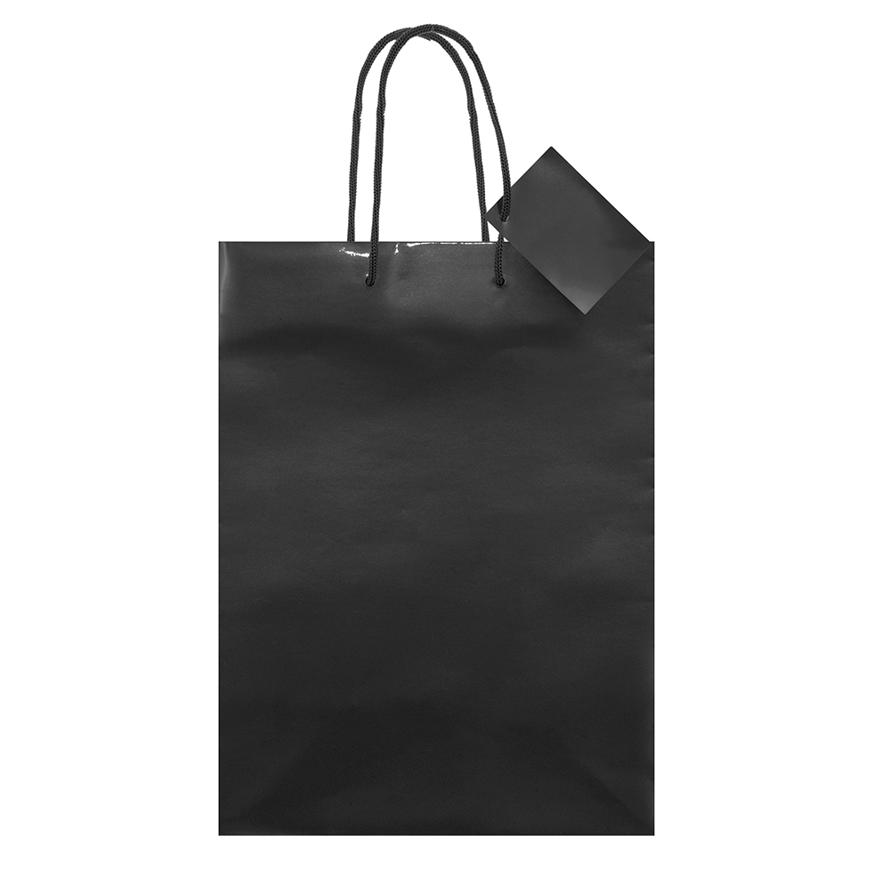 BOLSA PAPEL PLASTIFICADO 72461 MEDIDA 30X22X11 CM - Imagen 3