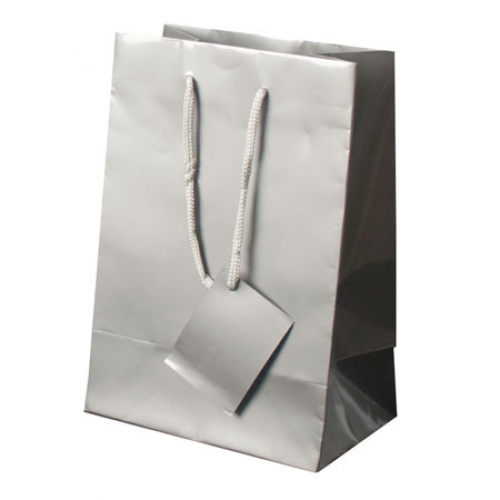 BOLSA PAPEL PLASTIFICADO 72461 MEDIDA 30X22X11 CM