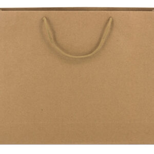 BOLSA DE CARTON ASA CORDÓN 42X31X10CM REF 72Z-1194 - Imagen 3